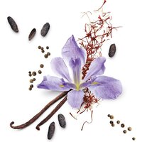 Парфюмерия Mauboussin Star For Men (90мл) - Превью изображения №4 — Интернет-магазин ПроЗаказ