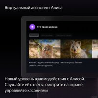 Колонка с умным дисплеем Яндекс Станция Дуо Макс (красный) - Превью изображения №5 — Интернет-магазин ПроЗаказ