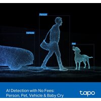 IP-камера TP-Link Tapo C246D - Превью изображения №29 — Интернет-магазин ПроЗаказ