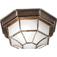 Arte Lamp Pegasus A3121PF-1BN