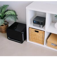 Беспроводной сабвуфер WiiM Sub Pro (черный) - Превью изображения №5 — Интернет-магазин ПроЗаказ