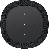 Беспроводная аудиосистема WiiM Sound Lite (черный) - Превью изображения №3 — Интернет-магазин ПроЗаказ