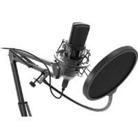 Проводной микрофон Ritmix RDM-169 - Превью изображения №2 — Интернет-магазин ПроЗаказ