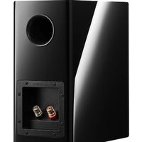 Полочная акустика Dynaudio Evoke 10 (черный рояльный лак) - Превью изображения №4 — Интернет-магазин ПроЗаказ