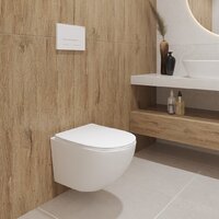 Унитаз подвесной Lauter Sulzdorf + TECE Kit 9400412 (белый с микролифтом) - Превью изображения №15 — Интернет-магазин ПроЗаказ
