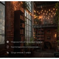 Светодиодная гирлянда Neon-Night Уличная Лофт 10 м 331-355 (теплый белый) - Превью изображения №3 — Интернет-магазин ПроЗаказ