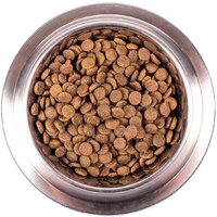 Сухой корм для собак Monge Speciality Line Puppy & Junior Lamb&Rice (12 кг) - Превью изображения №5 — Интернет-магазин ПроЗаказ