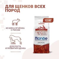 Сухой корм для собак Monge Speciality Line Puppy & Junior Lamb&Rice (12 кг) - Превью изображения №6 — Интернет-магазин ПроЗаказ