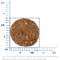 Сухой корм для собак Monge Speciality Line Puppy & Junior Lamb&Rice (12 кг) - Превью изображения №10 — Интернет-магазин ПроЗаказ