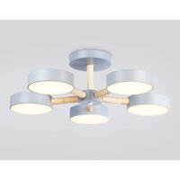 Ambrella light FL4826/5 GR