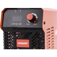 Сварочный инвертор Gigant GWM-250 - Превью изображения №6 — Интернет-магазин ПроЗаказ
