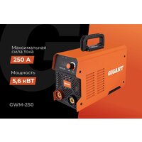 Сварочный инвертор Gigant GWM-250 - Превью изображения №14 — Интернет-магазин ПроЗаказ