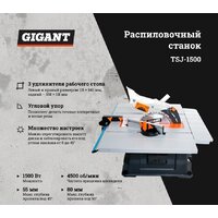 Распиловочный (циркулярный) станок Gigant TSJ-1500 - Превью изображения №2 — Интернет-магазин ПроЗаказ