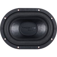 Головка сабвуфера DL Audio Phoenix Black Bass 69 - Превью изображения №2 — Интернет-магазин ПроЗаказ