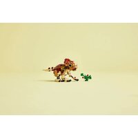 Конструктор LEGO Jurassic World Детёныш динозавра Долорес: Аквилопс 76970 - Превью изображения №12 — Интернет-магазин ПроЗаказ