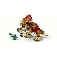 Конструктор LEGO Jurassic World Детёныш динозавра Долорес: Аквилопс 76970 - Превью изображения №5 — Интернет-магазин ПроЗаказ