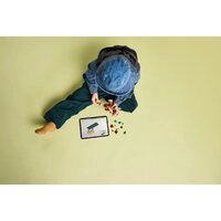 Конструктор LEGO Jurassic World Детёныш динозавра Долорес: Аквилопс 76970 - Превью изображения №11 — Интернет-магазин ПроЗаказ