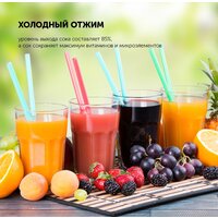 Соковыжималка Polaris PSJ 0602 - Превью изображения №17 — Интернет-магазин ПроЗаказ