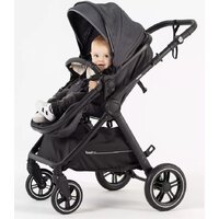 Универсальная коляска Rant Basic Roller RA161 (2 в 1, grey) - Превью изображения №36 — Интернет-магазин ПроЗаказ