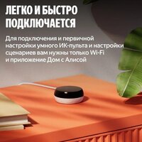 ИК-пульт Яндекс YNDX-00571 - Превью изображения №11 — Интернет-магазин ПроЗаказ