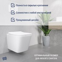 Унитаз подвесной Lauter Square 214903 + GROHE Rapid SL 38721001 + GROHE 37131000 (овальная, хром) - Превью изображения №6 — Интернет-магазин ПроЗаказ
