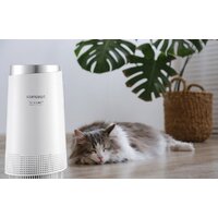Очиститель воздуха Concept Perfect Air Smart CA1010 - Превью изображения №16 — Интернет-магазин ПроЗаказ
