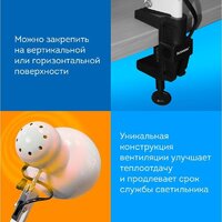 Настольная лампа Daswerk 238323 - Превью изображения №6 — Интернет-магазин ПроЗаказ