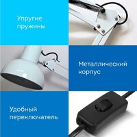 Настольная лампа Daswerk 238323 - Превью изображения №4 — Интернет-магазин ПроЗаказ