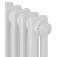 Стальной трубчатый радиатор Royal Thermo Insignia VC2050 - 32 секций RAL9016 - Превью изображения №3 — Интернет-магазин ПроЗаказ