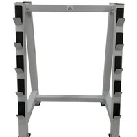 Стойка/стеллаж DFC Powergym RA769G - Превью изображения №3 — Интернет-магазин ПроЗаказ