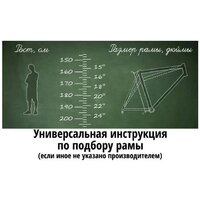 Велосипед Cord 5Bike 29 M400 2025 CRD-M5-2912-22 (хаки) - Превью изображения №2 — Интернет-магазин ПроЗаказ