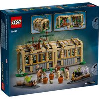 Конструктор LEGO Harry Potter Замок Хогвартс: Класс Гербологии 76445 - Превью изображения №2 — Интернет-магазин ПроЗаказ