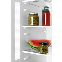 Холодильник Amica FK3606E.2DFX (E) - Превью изображения №14 — Интернет-магазин ПроЗаказ