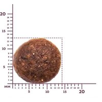 Сухой корм для собак Award Puppy Large для щенков крупных пород с курицей, индейкой с добавлением тыквы и шиповника 12 кг - Превью изображения №7 — Интернет-магазин ПроЗаказ