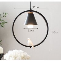 Подвесная люстра Home Light Астерия A043-5-B - Превью изображения №3 — Интернет-магазин ПроЗаказ