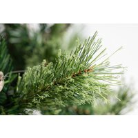 Ель Winter Fun Light ML-0066-003 (210см) - Превью изображения №8 — Интернет-магазин ПроЗаказ