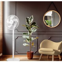 Вентилятор Electrolux EFF-1005 - Превью изображения №2 — Интернет-магазин ПроЗаказ