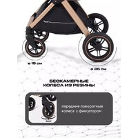 Универсальная коляска Rant Basic Roller Gold RA161 (2 в 1, black) - Превью изображения №9 — Интернет-магазин ПроЗаказ