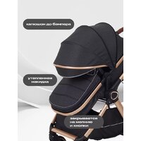Универсальная коляска Rant Basic Roller Gold RA161 (2 в 1, black) - Превью изображения №5 — Интернет-магазин ПроЗаказ