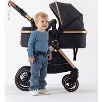 Универсальная коляска Rant Basic Roller Gold RA161 (2 в 1, black) - Превью изображения №34 — Интернет-магазин ПроЗаказ