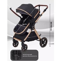 Универсальная коляска Rant Basic Roller Gold RA161 (2 в 1, black) - Превью изображения №6 — Интернет-магазин ПроЗаказ