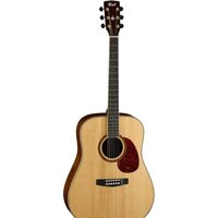 Cort Earth100 NS