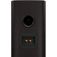 Полочная акустика JBL Studio 620 (черный) - Превью изображения №2 — Интернет-магазин ПроЗаказ