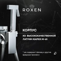 Гигиенический душ Roxen Caspia 50096000-CH - Превью изображения №15 — Интернет-магазин ПроЗаказ