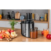 Соковыжималка Goetze & Jensen JM501X - Превью изображения №2 — Интернет-магазин ПроЗаказ