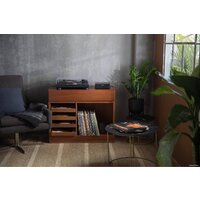 Сетевой интегральный усилитель Bose Music Amplifier - Превью изображения №7 — Интернет-магазин ПроЗаказ