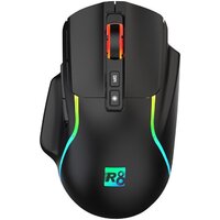 R8 G303 (черный)