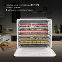 Сушилка для овощей и фруктов Hyundai HYFD-8800 - Превью изображения №5 — Интернет-магазин ПроЗаказ