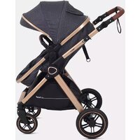 Универсальная коляска Rant Basic Roller Gold RA161 (2 в 1, grey) - Превью изображения №25 — Интернет-магазин ПроЗаказ