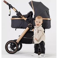 Универсальная коляска Rant Basic Roller Gold RA161 (2 в 1, grey) - Превью изображения №35 — Интернет-магазин ПроЗаказ